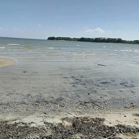 4 Person In Hejls-by Traum