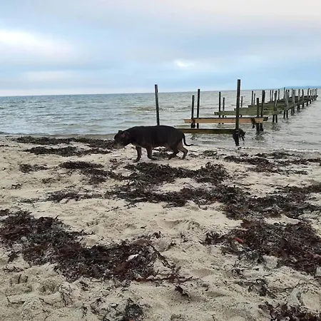 4 Person In Hejls-by Traum Hejls