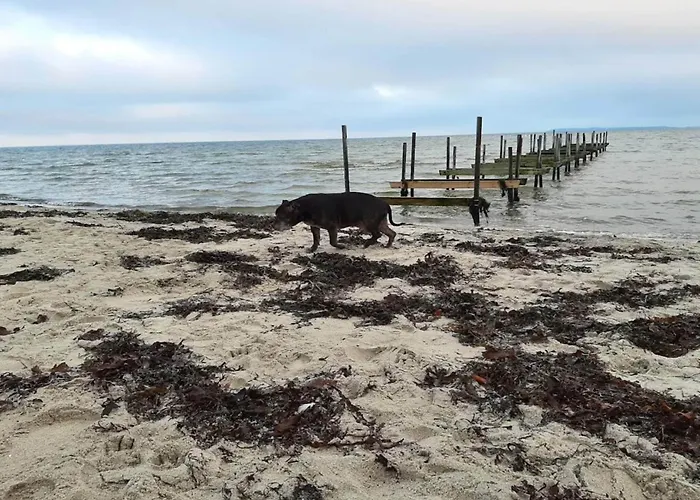 4 Person In Hejls-by Traum Hejls